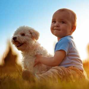कुत्ते बच्चों की देखभाल क्यों करते हैं?