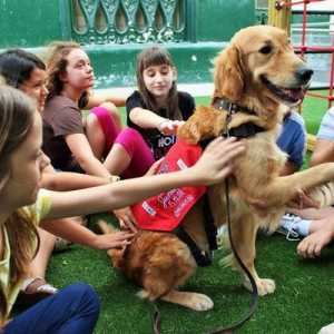 पुरीना और सीटीएसी के कुत्ते स्कूल के बच्चों का स्वागत करते हैं lleó xiii de barcelona