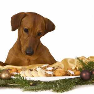 कुत्तों के लिए क्रिसमस व्यंजनों