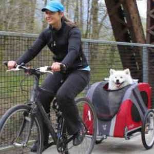 कुत्तों के लिए साइकिल ट्रेलर: कुत्तों के लिए साइकिल गाड़ियां