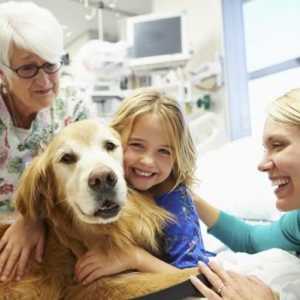 ऑटिस्टिक बच्चों के लिए कुत्तों के साथ उपचार