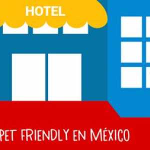 मैक्सिको में पालतू दोस्ताना होटल के शीर्ष