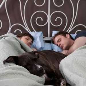 आपका कुत्ता तुम्हारे साथ सोता है, क्या होता है यदि आपका कुत्ता आपके बिस्तर में सो जाता है?
