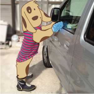 क्या आपका कुत्ता आपकी कार धोने में मदद करता है?