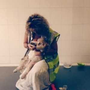 एक अभियान का लक्ष्य कुत्ते के जीवन को बचाने के लिए है जो स्पेन में प्रवेश नहीं कर सका