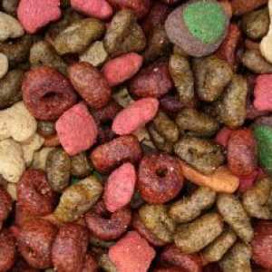 कुत्तों के लिए आवश्यक विटामिन और खनिजों